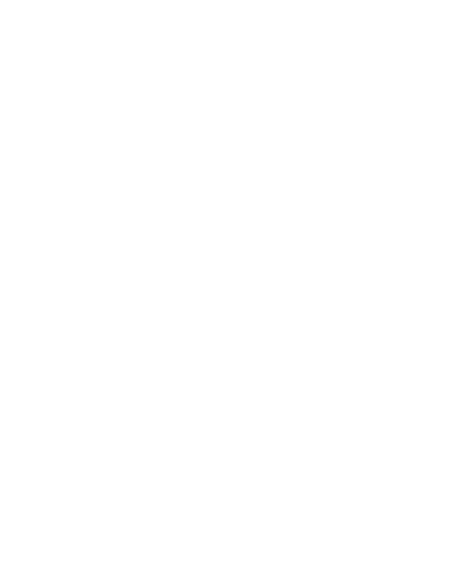 El Chinelo Cerveza Artesanal